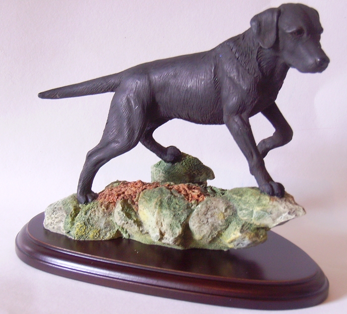 Labrador auf Stein , schwarz